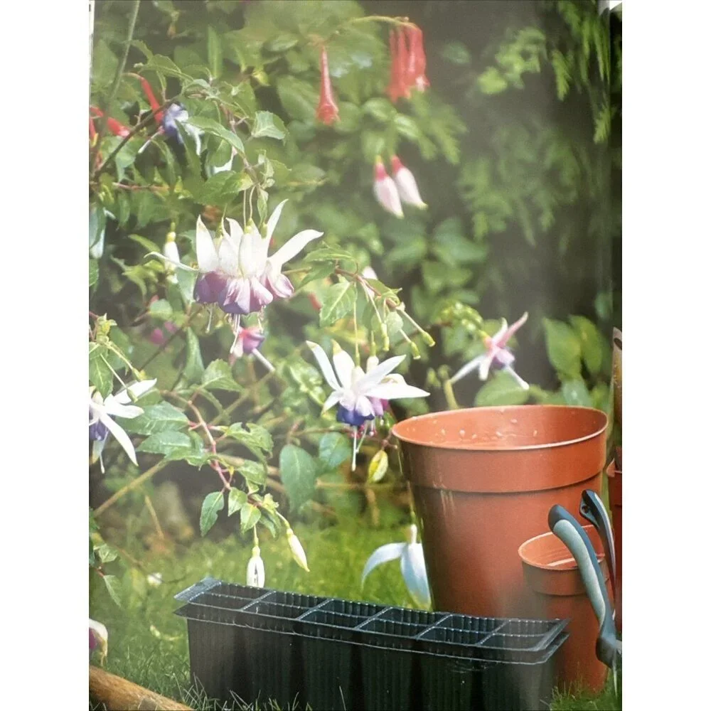 JOHN NICHOLASS - THE ILLUSTRATED GARDENER'S GUIDE TO GROWING FUCHSIAS